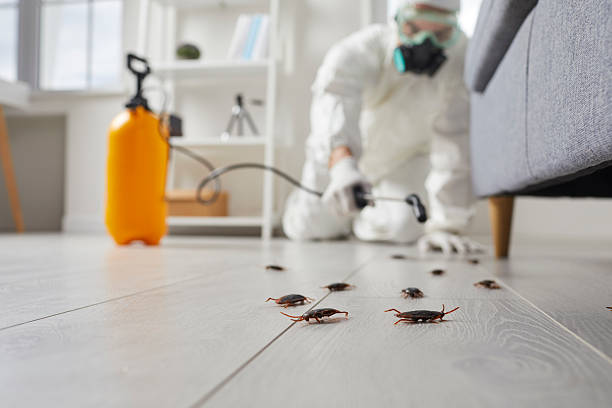 Trusted Rodent Control service in Cobb Island, MD - Nex Pest Control